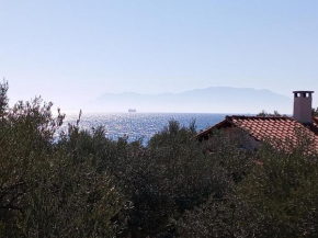 Villa Asimidou